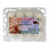 سفید آب شتر مرغ 12 تایی