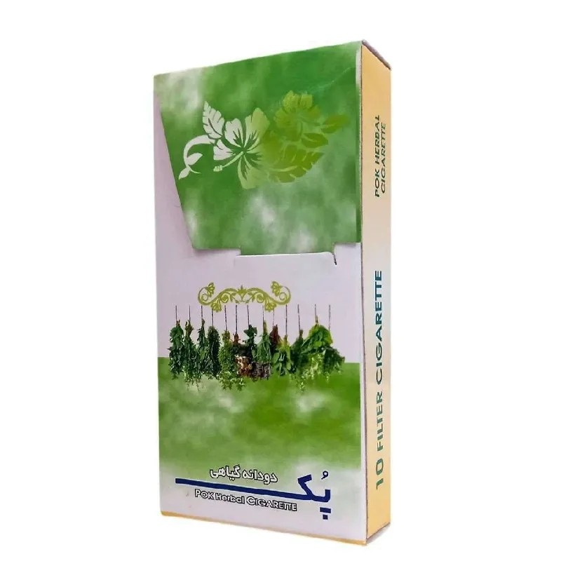 سیگار نعنا 10 عددی