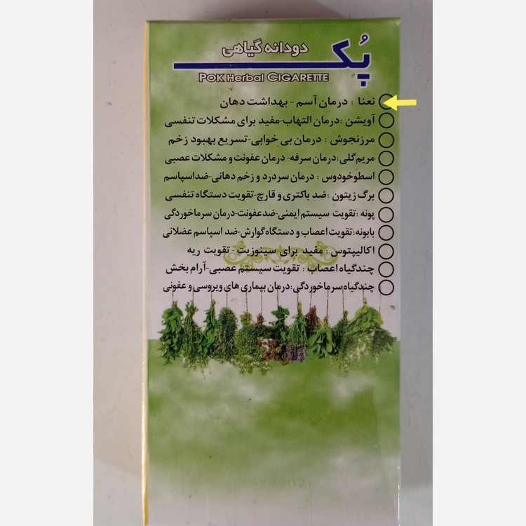 سیگار نعنا 10 عددی