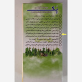 دودانه پونه 10 عددی