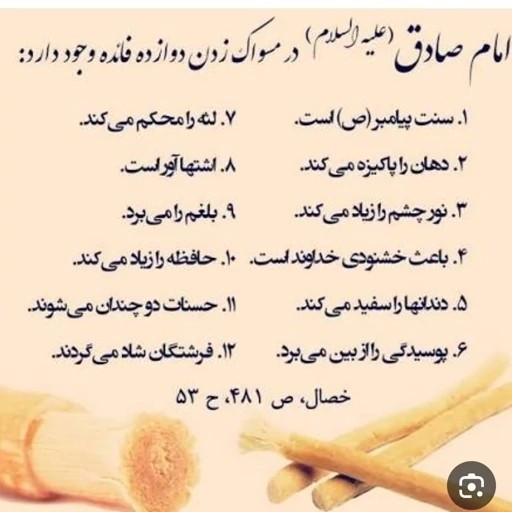 چوب مسواک چوب اراک الفیضان