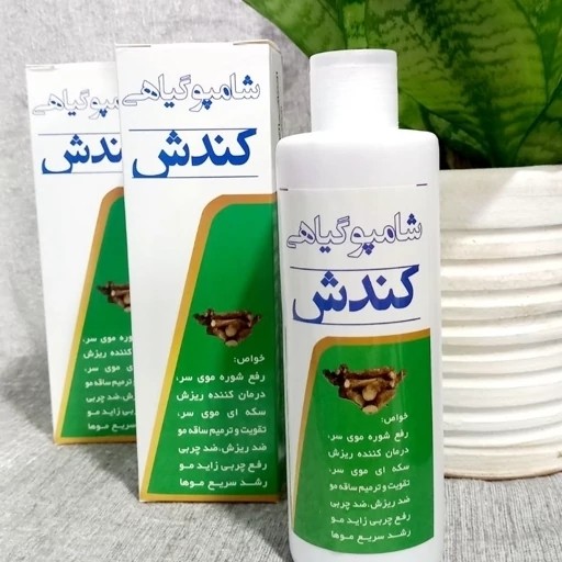 شامپو کندش گیاهی اصل