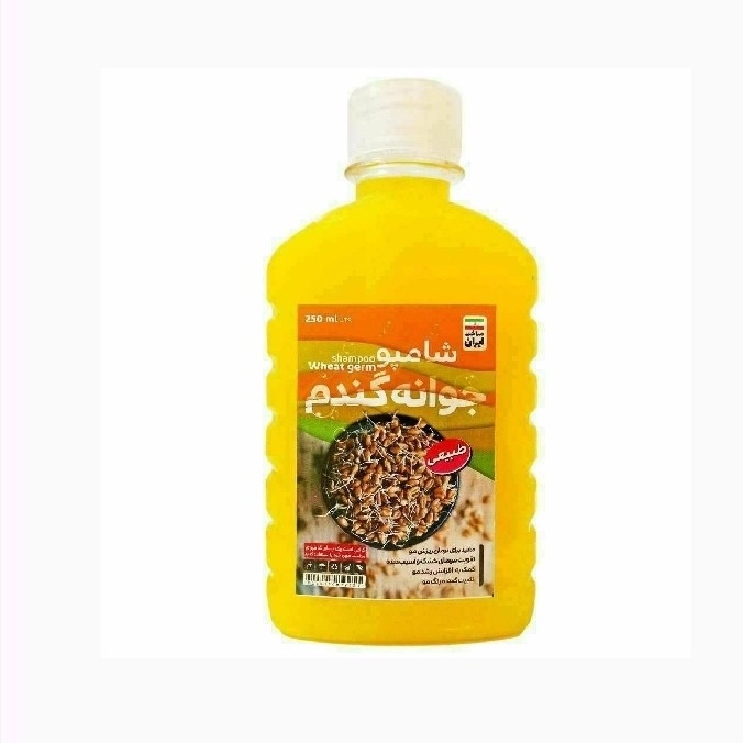 شامپو جوانه گندم اصل