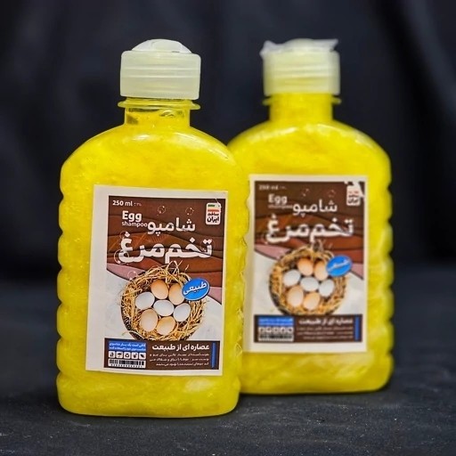شامپو تخم مرغ ارگانیک