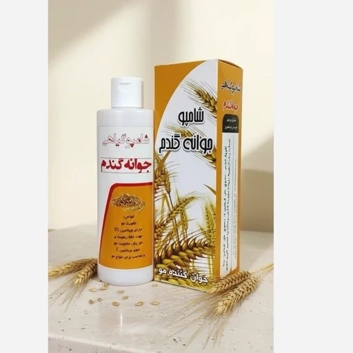 شامپو جوانه گندم ارگانیک